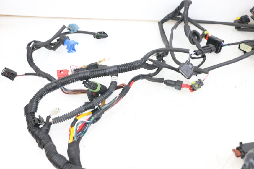 photo de FAISCEAU PIAGGIO VESPA PRIMAVERA 4T 50 (2021 - 2024)
