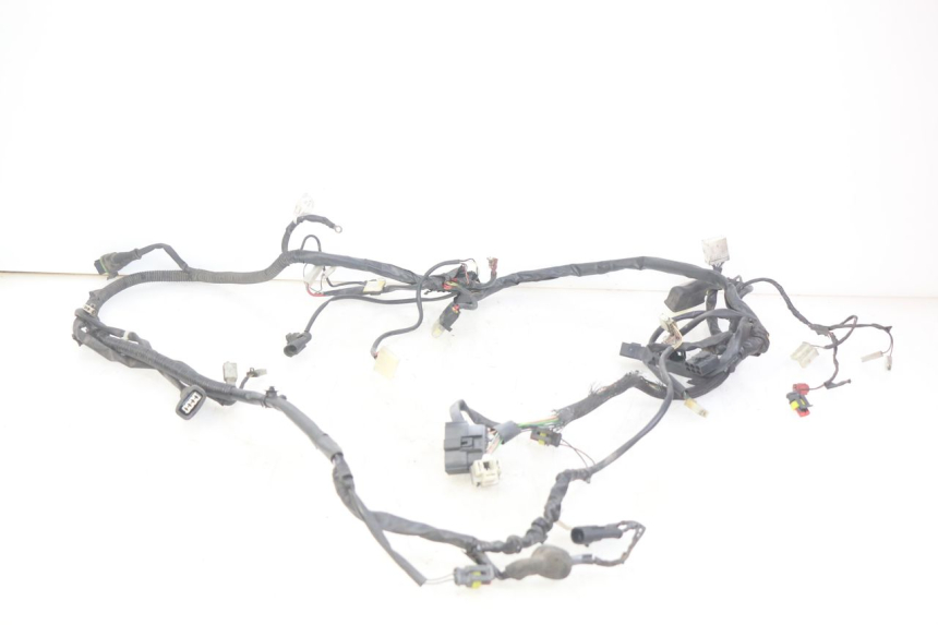 photo de FAISCEAU PIAGGIO VESPA SPRINT 2T 50 (2014 - 2018)