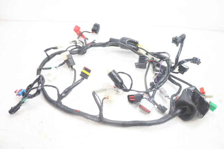 photo de FAISCEAU JM MOTORS R-MAX TECH 50 (2024 - 2026) - Vue principale