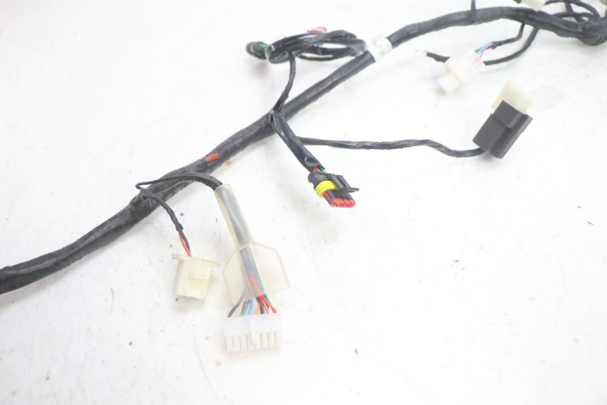 photo de FAISCEAU JM MOTORS R-MAX TECH 50 (2024 - 2026) - Zoom état d’usage
