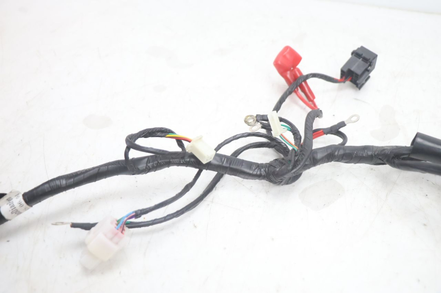 photo de FAISCEAU JM MOTORS R-MAX TECH 50 (2024 - 2026) - Autre angle de vue