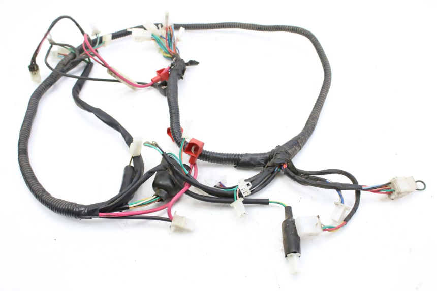 photo de FAISCEAU TNT MOTOR ROMA 10' 2T 50 (2011 - 2018) - Vue principale