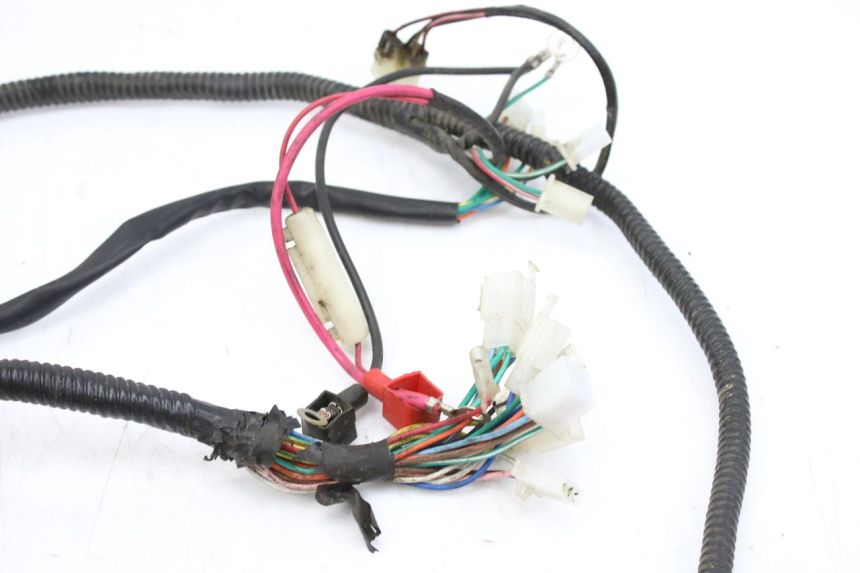 photo de FAISCEAU TNT MOTOR ROMA 10' 2T 50 (2011 - 2018) - Autre angle de vue