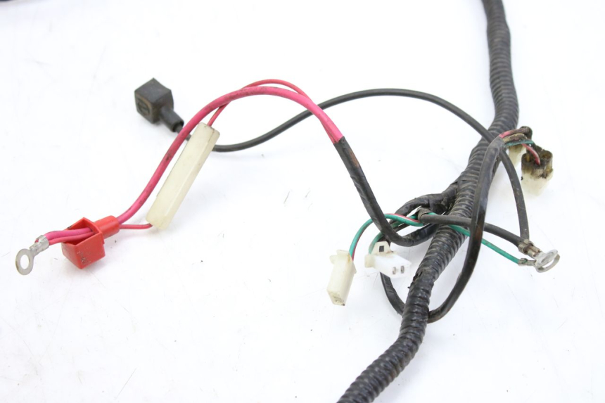 photo de FAISCEAU TNT MOTOR ROMA 10' 2T 50 (2011 - 2018) - Gros plan technique