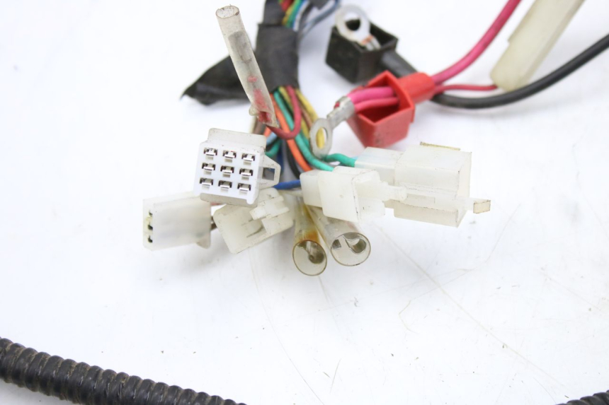 photo de FAISCEAU TNT MOTOR ROMA 10' 2T 50 (2011 - 2018) - État de surface