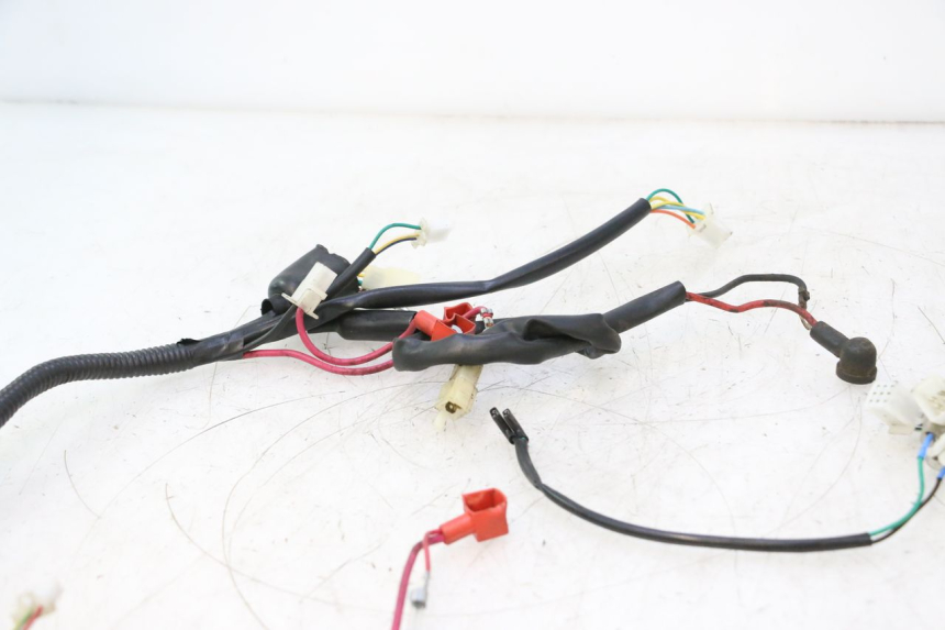 photo de FAISCEAU TNT MOTOR ROMA 10' 2T 50 (2011 - 2018) - Détail de la pièce