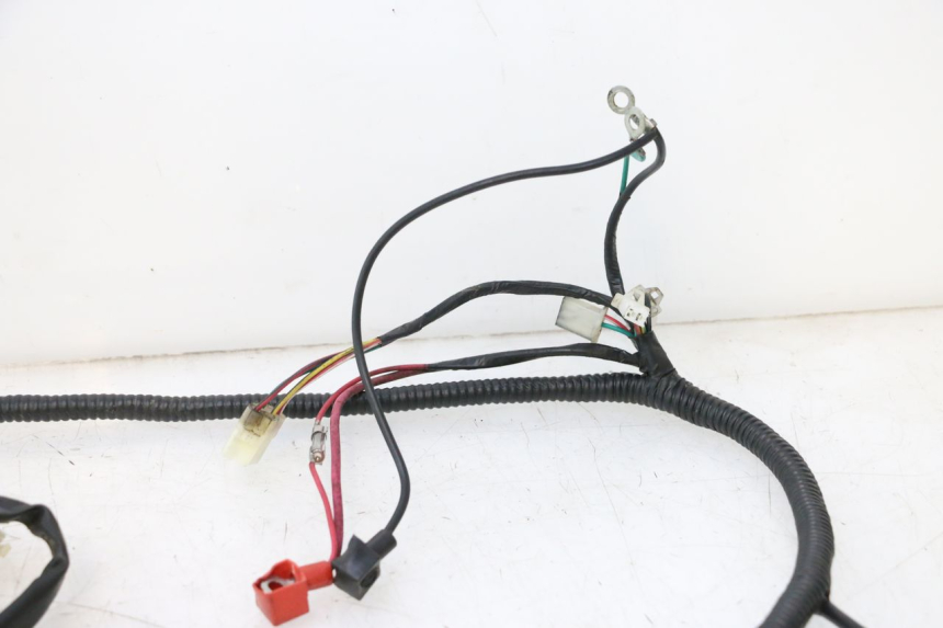 photo de FAISCEAU TNT MOTOR ROMA 10' 2T 50 (2011 - 2018) - Vue produit