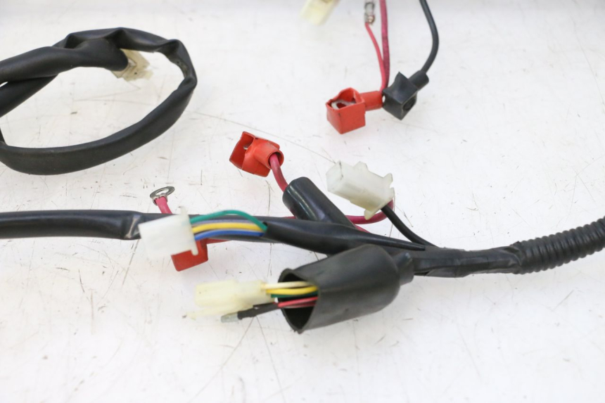 photo de FAISCEAU TNT MOTOR ROMA 10' 2T 50 (2011 - 2018) - Détails caractéristiques