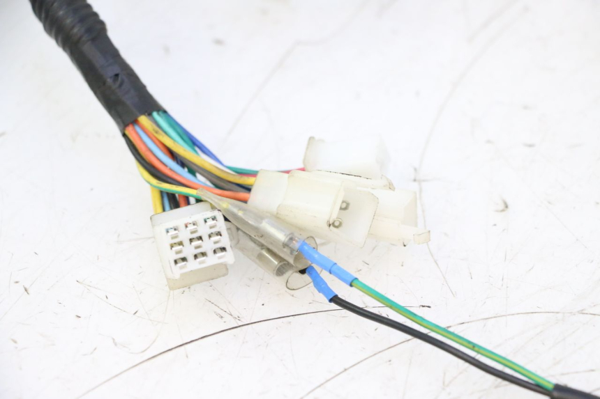 photo de FAISCEAU TNT MOTOR ROMA 10' 2T 50 (2011 - 2018) - Vue rapprochée