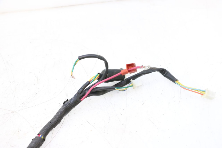 photo de FAISCEAU TNT MOTOR ROMA 10' 4T 50 (2007 - 2018) - Détail de la pièce