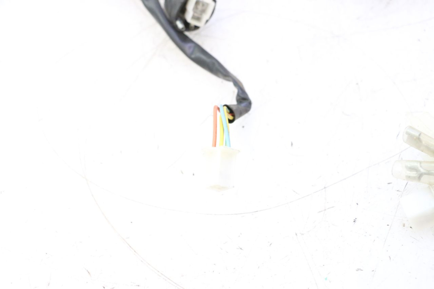 photo de FAISCEAU TNT MOTOR ROMA 10' 4T 50 (2007 - 2018) - Vue produit