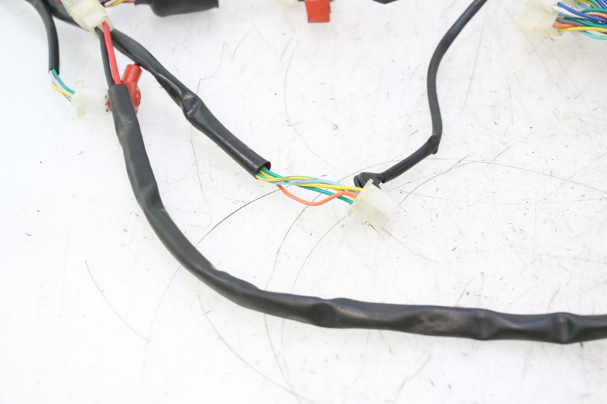 photo de FAISCEAU TNT MOTOR ROMA 12' 2T 50 (2007 - 2018) - Pièce contrôlée