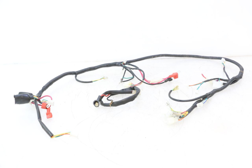 photo de FAISCEAU TNT MOTOR ROMA 12' 2T 50 (2007 - 2018) - Vue principale