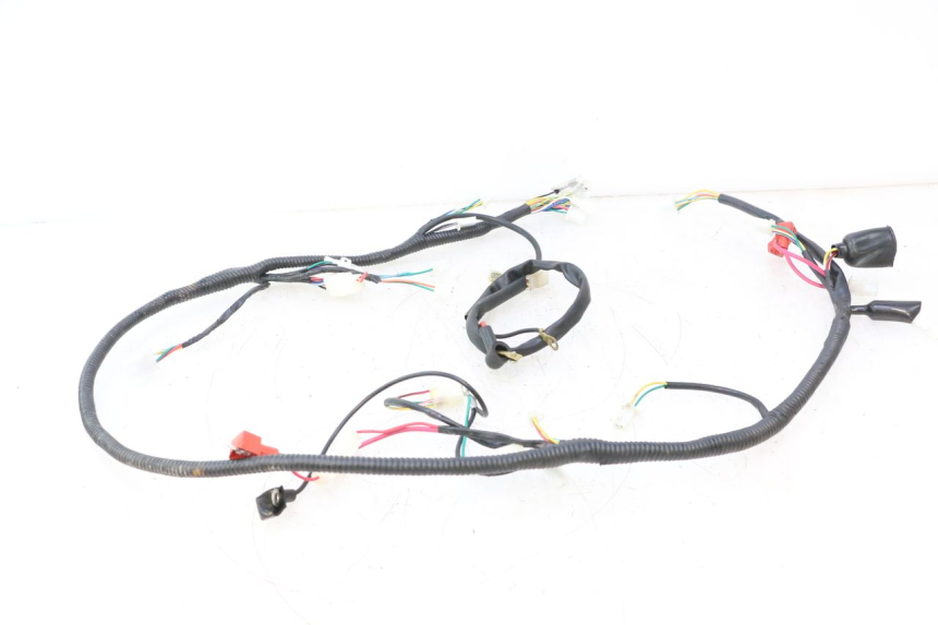 photo de FAISCEAU TNT MOTOR ROMA 12' 2T 50 (2007 - 2018) - Gros plan technique