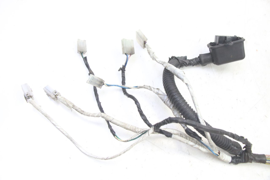 photo de FAISCEAU GILERA RUNNER SP 50 (2006 - 2008)