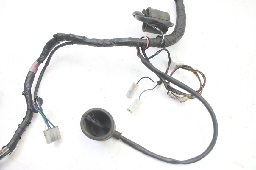 photo de FAISCEAU GILERA RUNNER SP 50 (2006 - 2008)