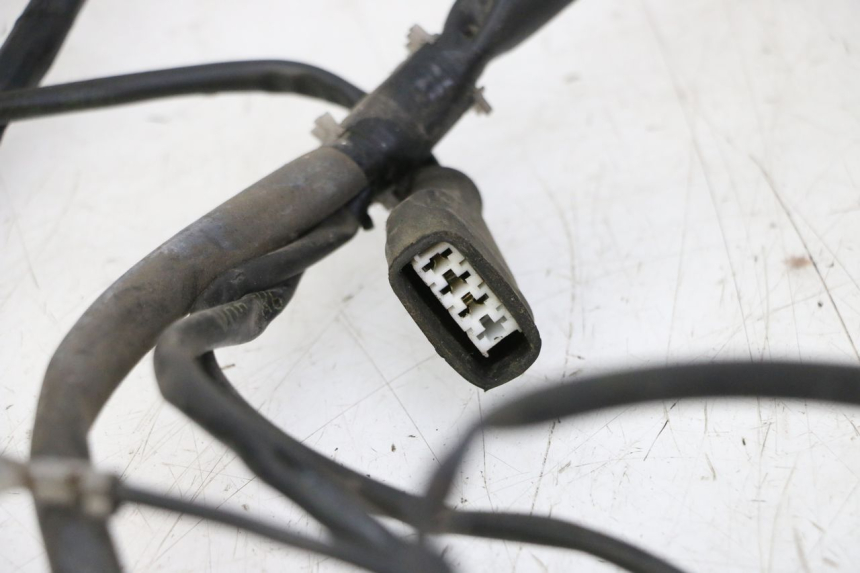 photo de FAISCEAU GILERA RUNNER SP 50 (2009 - 2017)