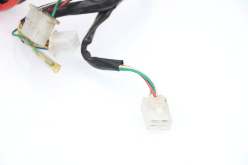photo de FAISCEAU SAMPO LY50QT-21 50 (2009 - 2014)