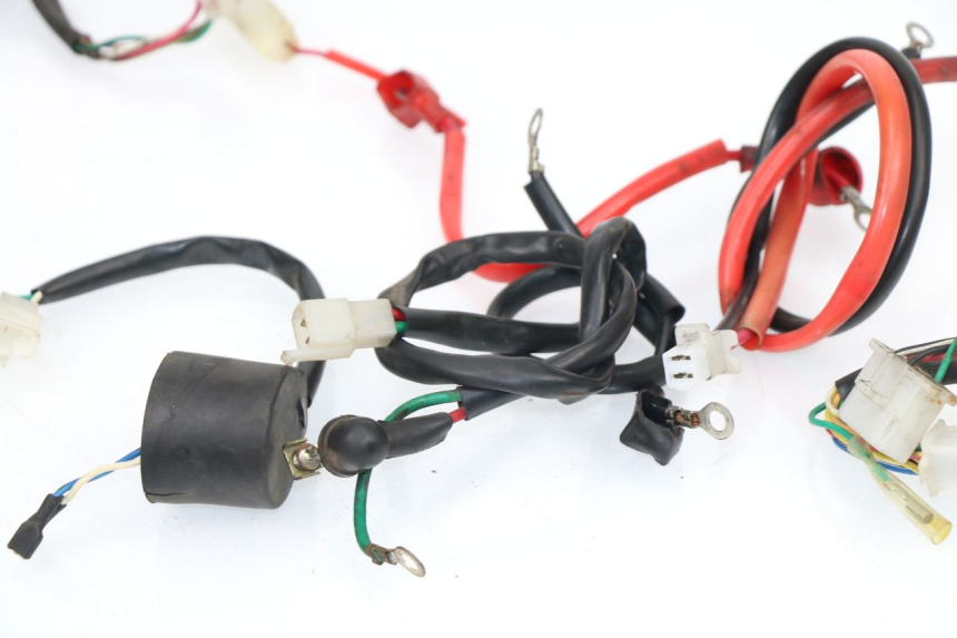 photo de FAISCEAU SAMPO LY50QT-21 50 (2009 - 2014)