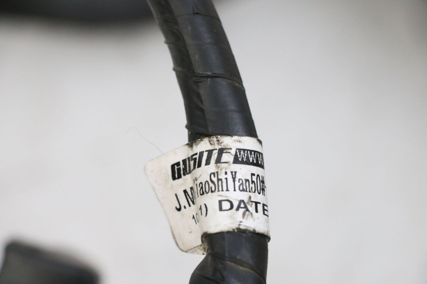 photo de FAISCEAU JM MOTORS SANTANA EVO 50 (2024 - 2026) - Zoom état d’usage