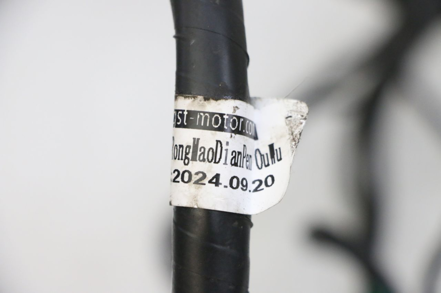 photo de FAISCEAU JM MOTORS SANTANA EVO 50 (2024 - 2026) - Autre angle de vue