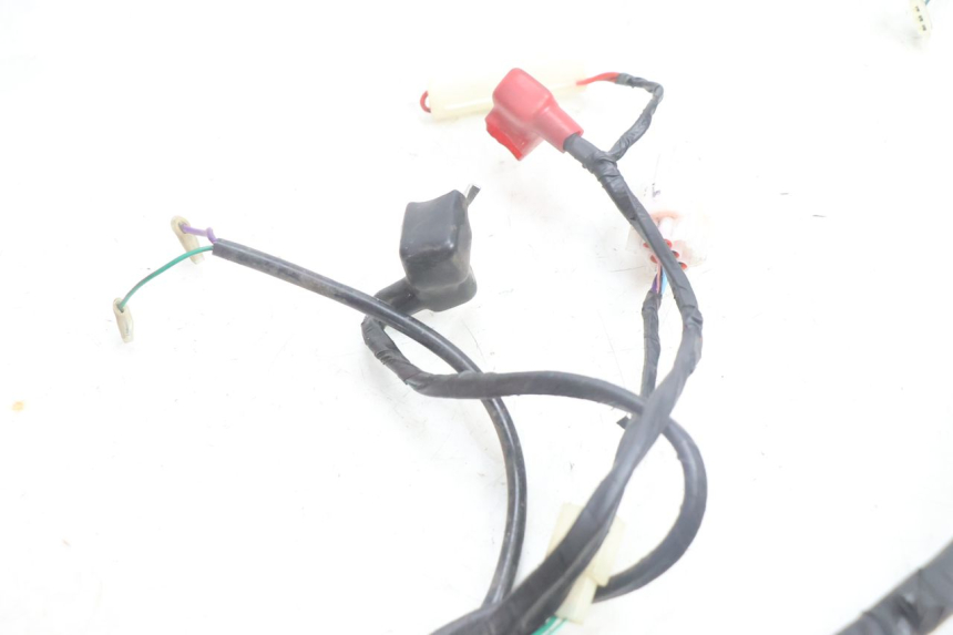 photo de FAISCEAU JM MOTORS SANTANA EVO 50 (2024 - 2026) - Autre angle de vue