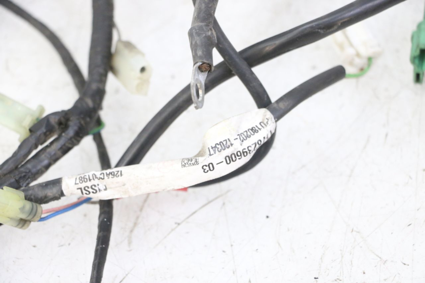 photo de FAISCEAU PEUGEOT SATELIS 125 (2013 - 2018) - Points de fixation