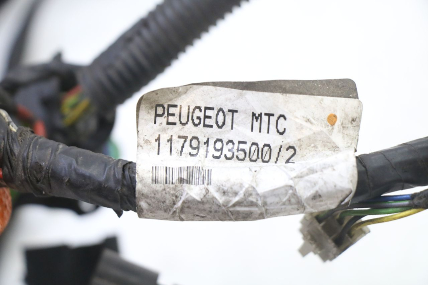 photo de FAISCEAU PEUGEOT SATELIS 125 (2013 - 2018)