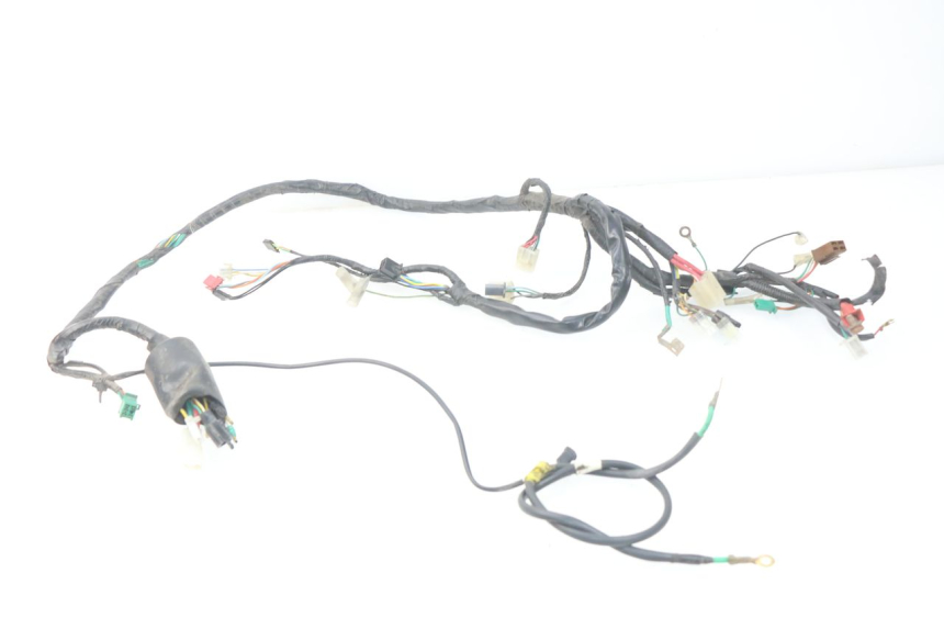 photo de FAISCEAU HONDA SCV LEAD 100 (2003 - 2007)