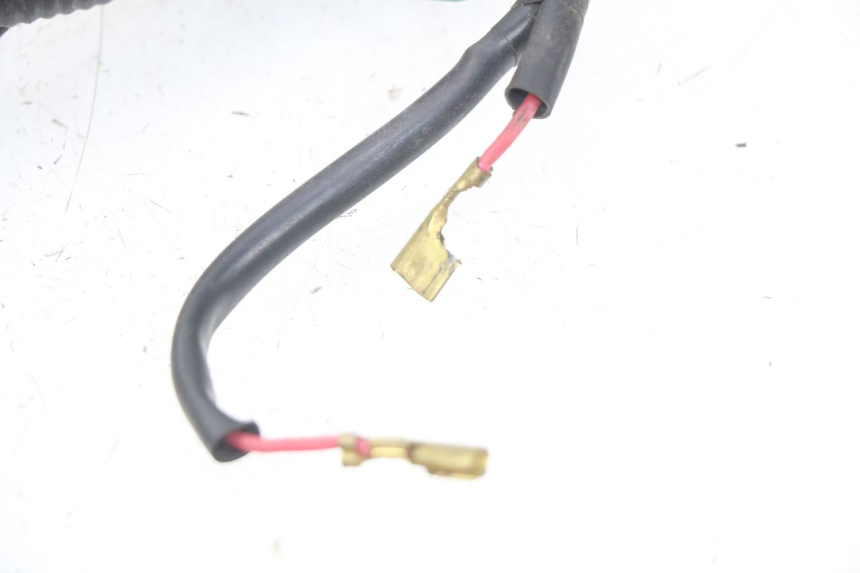 photo de FAISCEAU HONDA SCV LEAD 100 (2003 - 2007)