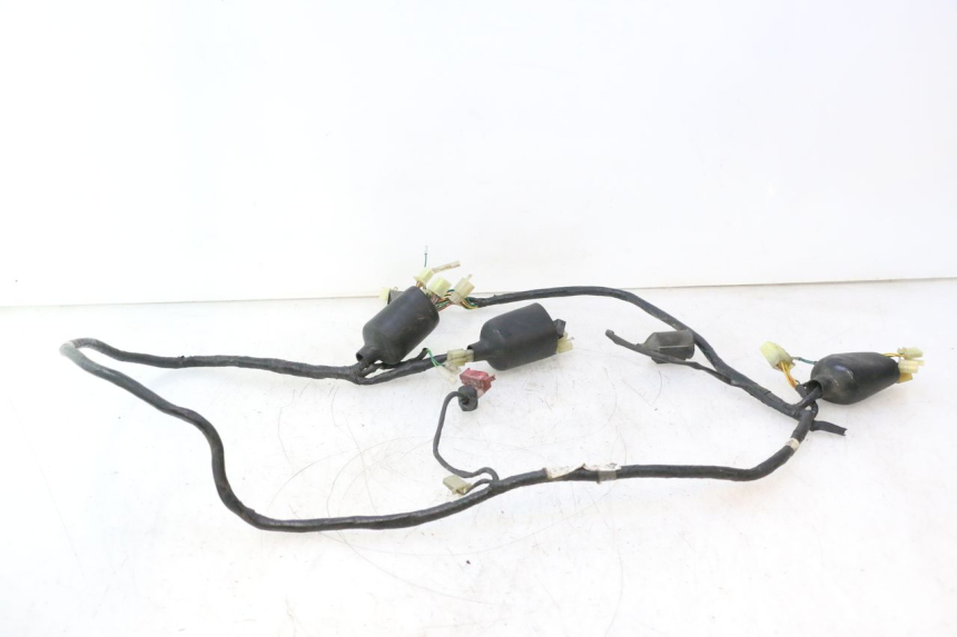 photo de FAISCEAU HONDA SH 125 (2001 - 2003) - Vue principale