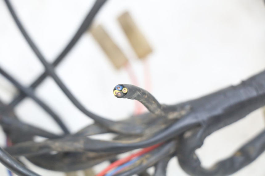 photo de FAISCEAU SHERCO SM-R 50 (2018 - 2021)
