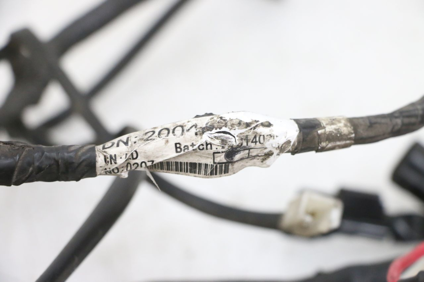 photo de FAISCEAU PEUGEOT SPEEDFIGHT 4 4T EFI 50 (2021 - 2025) - Détail de la pièce