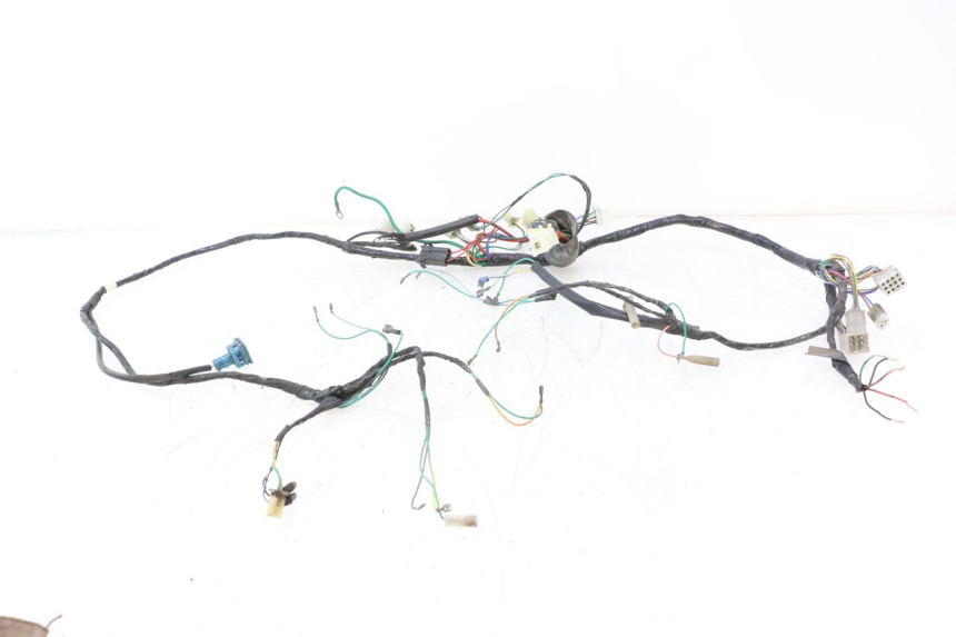 photo de FAISCEAU PEUGEOT SPEEDFIGHT LC 50 (1996 - 2002) - Vue principale