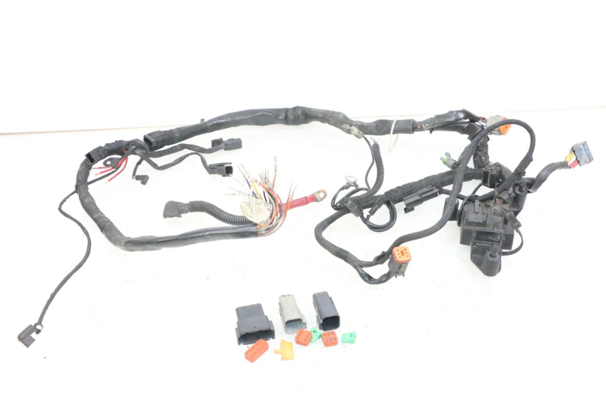 photo de FAISCEAU HARLEY DAVIDSON SPORTSTER XL CUSTOM 1200 (2003 - 2004)