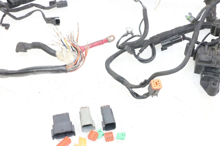 photo de FAISCEAU HARLEY DAVIDSON SPORTSTER XL CUSTOM 1200 (2003 - 2004)