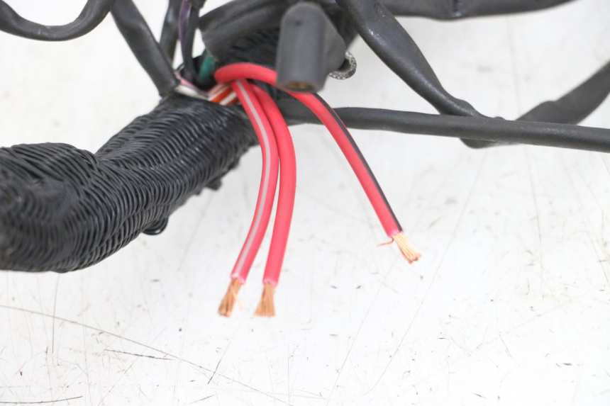 photo de FAISCEAU HARLEY DAVIDSON SPORTSTER XL CUSTOM 1200 (2003 - 2004)