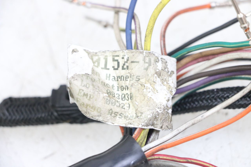 photo de FAISCEAU HARLEY DAVIDSON SPORTSTER XL CUSTOM 1200 (2003 - 2004)