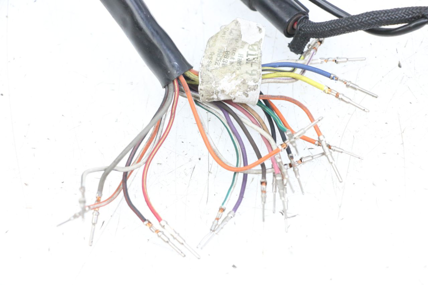 photo de FAISCEAU HARLEY DAVIDSON SPORTSTER XL CUSTOM 1200 (2003 - 2004)