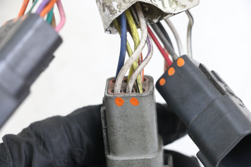 photo de FAISCEAU HARLEY DAVIDSON SPORTSTER XL CUSTOM 1200 (2003 - 2004)