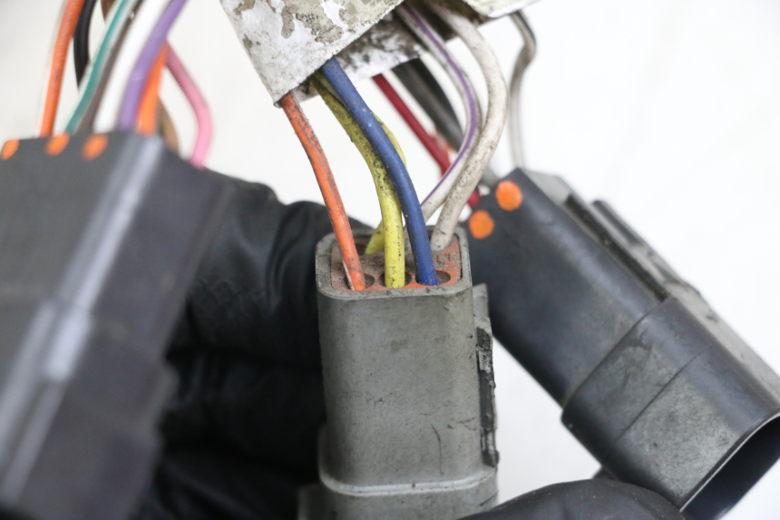 photo de FAISCEAU HARLEY DAVIDSON SPORTSTER XL CUSTOM 1200 (2003 - 2004)