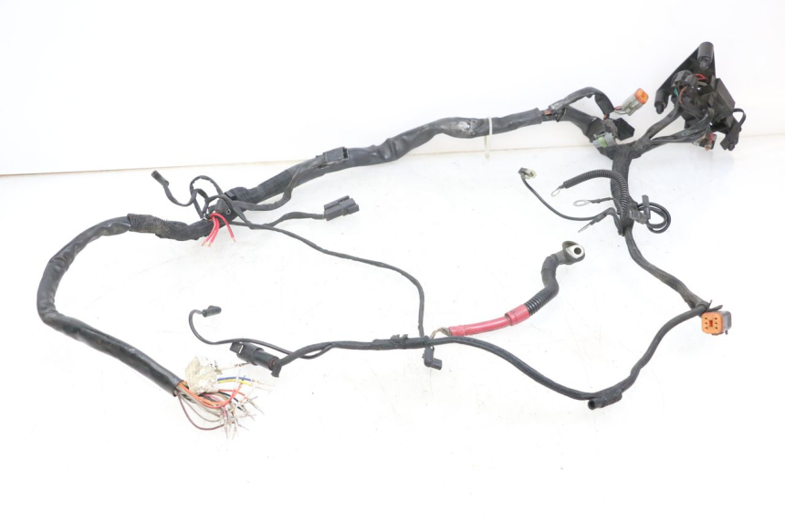 photo de FAISCEAU HARLEY DAVIDSON SPORTSTER XL CUSTOM 1200 (2003 - 2004)