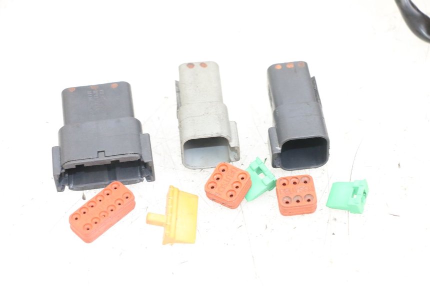 photo de FAISCEAU HARLEY DAVIDSON SPORTSTER XL CUSTOM 1200 (2003 - 2004)