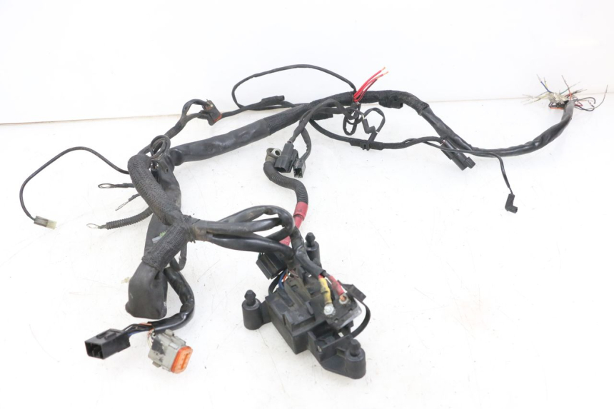 photo de FAISCEAU HARLEY DAVIDSON SPORTSTER XL CUSTOM 1200 (2003 - 2004)