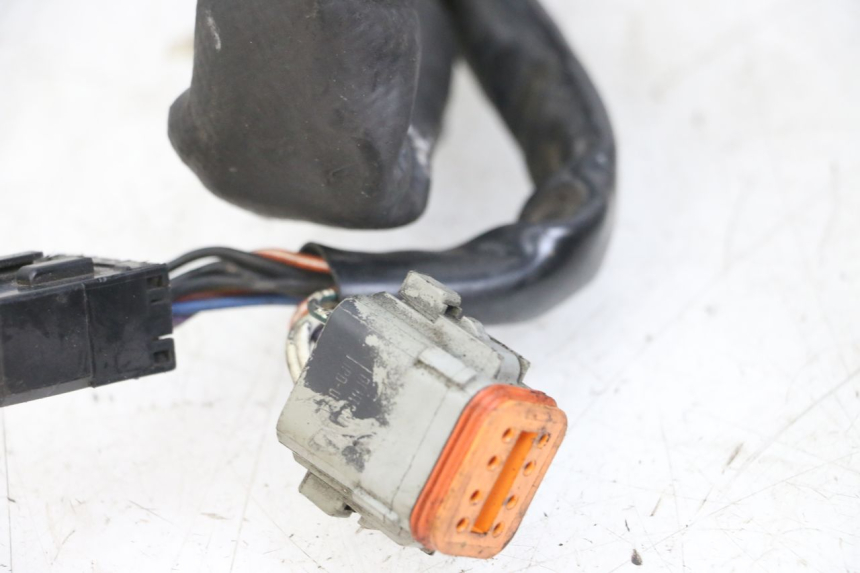 photo de FAISCEAU HARLEY DAVIDSON SPORTSTER XL CUSTOM 1200 (2003 - 2004)