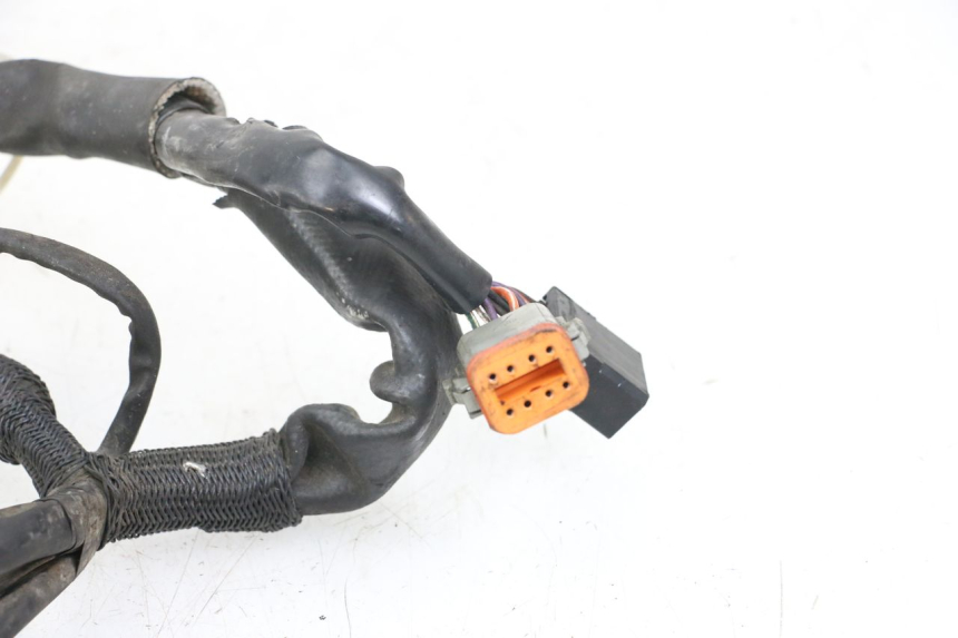 photo de FAISCEAU HARLEY DAVIDSON SPORTSTER XL CUSTOM 1200 (2003 - 2004)