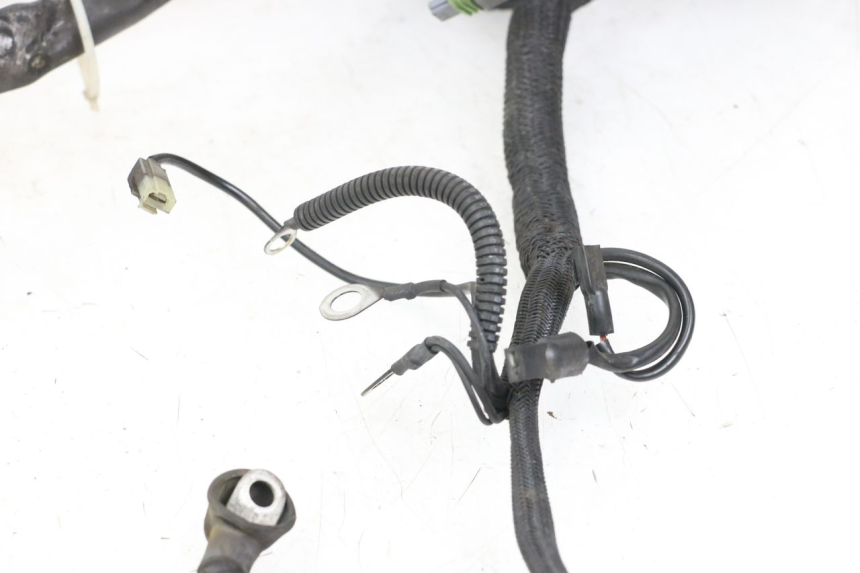 photo de FAISCEAU HARLEY DAVIDSON SPORTSTER XL CUSTOM 1200 (2003 - 2004)