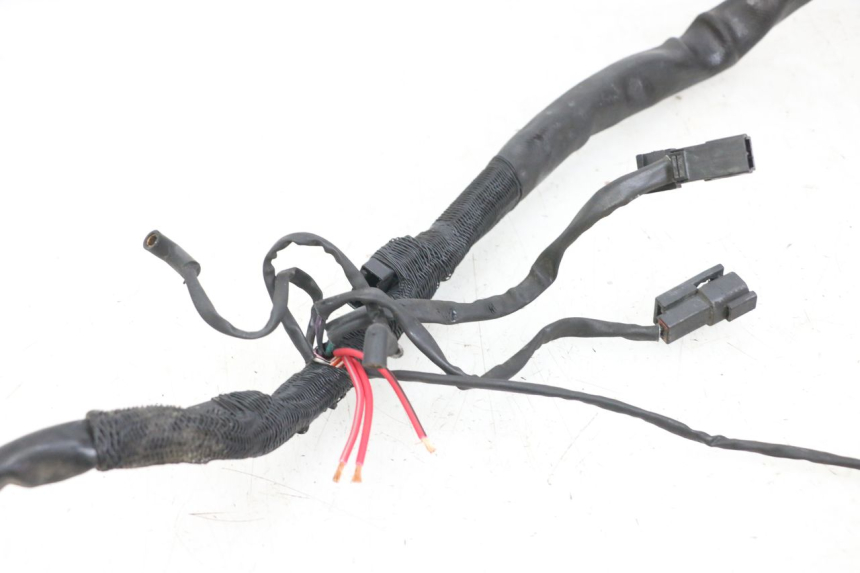 photo de FAISCEAU HARLEY DAVIDSON SPORTSTER XL CUSTOM 1200 (2003 - 2004)