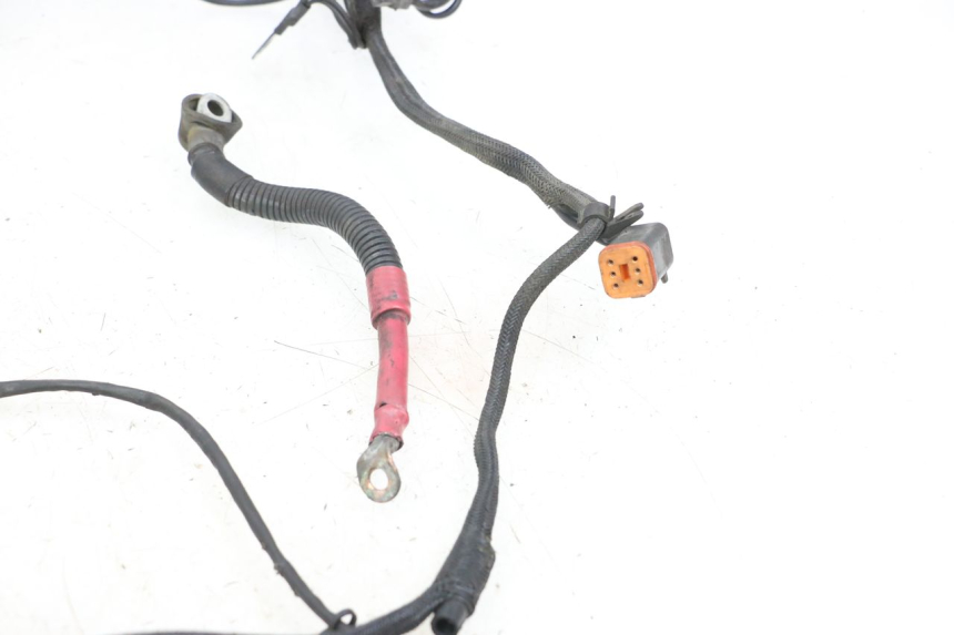 photo de FAISCEAU HARLEY DAVIDSON SPORTSTER XL CUSTOM 1200 (2003 - 2004)