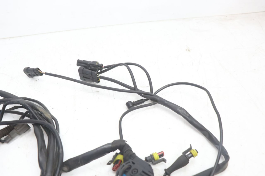 photo de FAISCEAU DUCATI SS IE DS CARENEE 1000 (2002 - 2006) - Vue d’ensemble